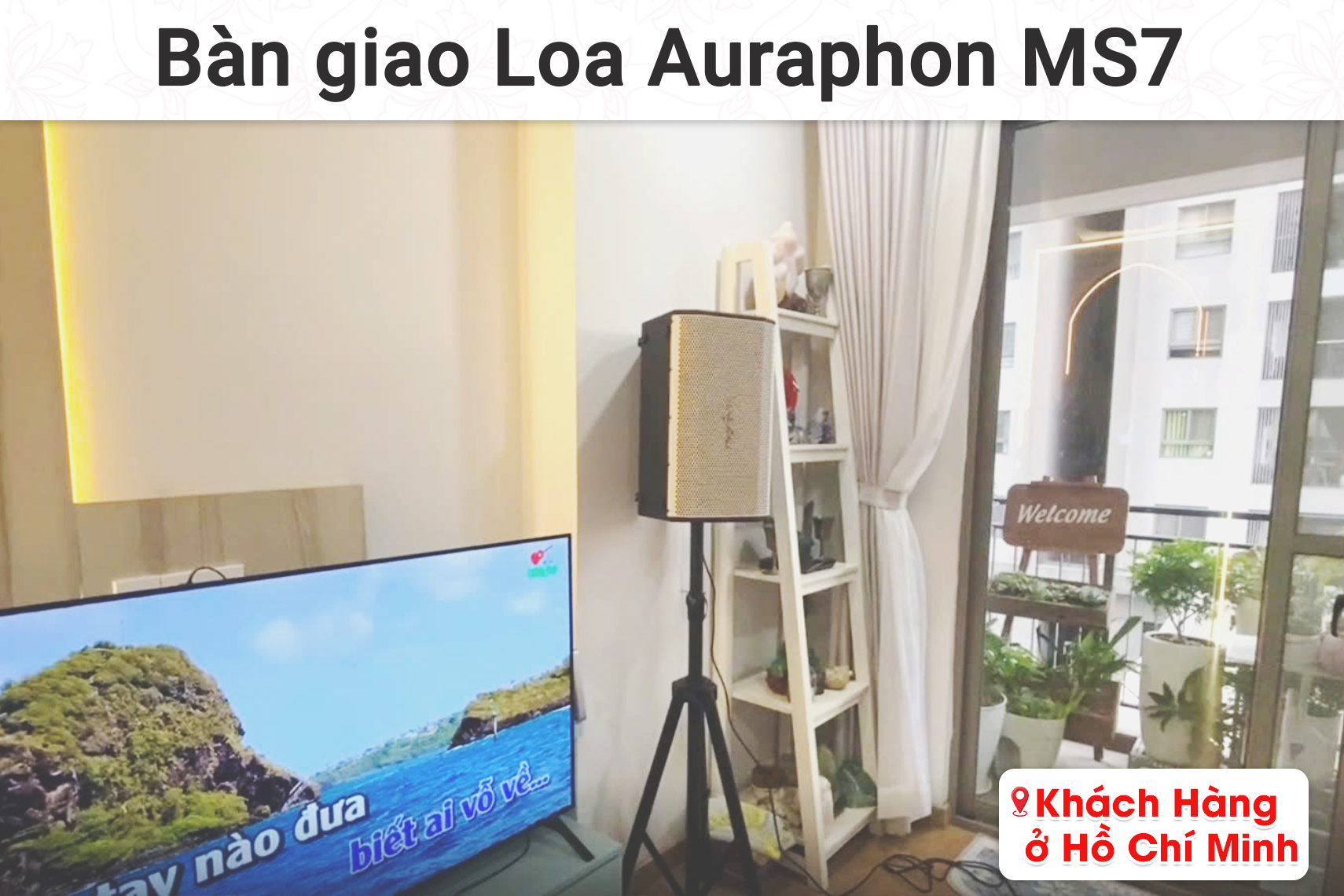 Bàn giao loa Auraphon MS7 cho khách hàng tại TP HCM