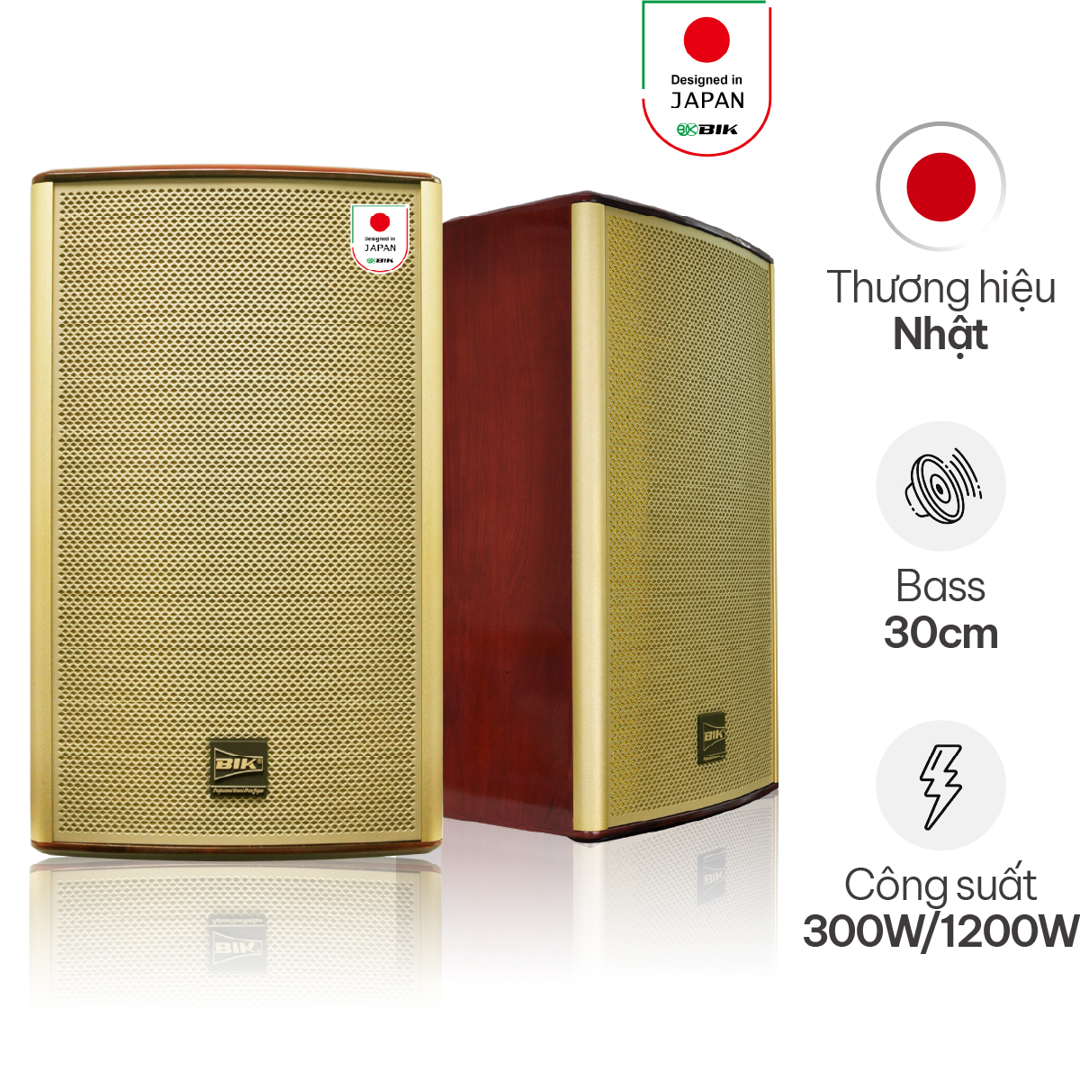 Loa BIK BK-G12 (New 2025- Full bass 30cm)