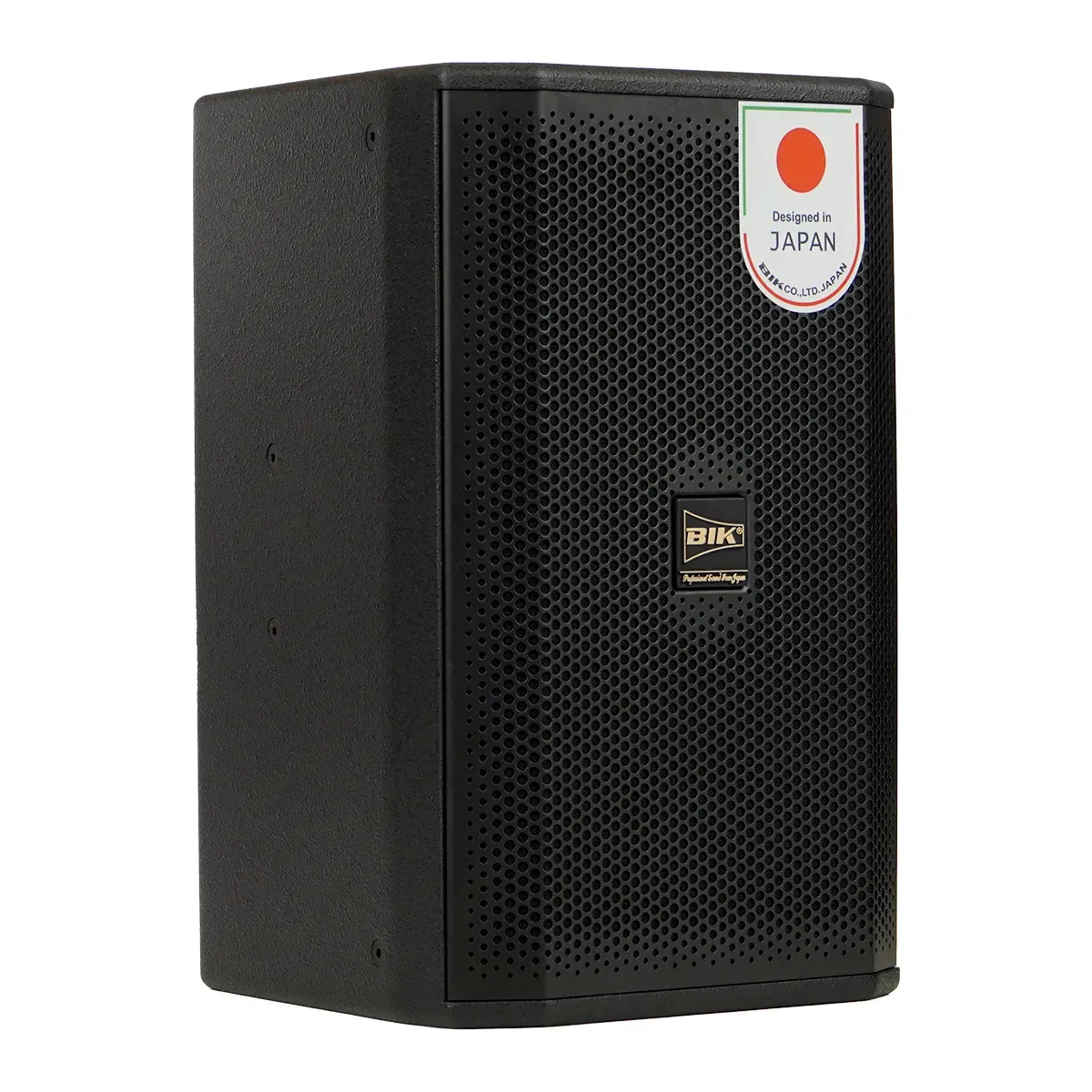 Loa karaoke Nhật BIK CS-620 (Full bass 25cm, 300W RMS) - Hình 5