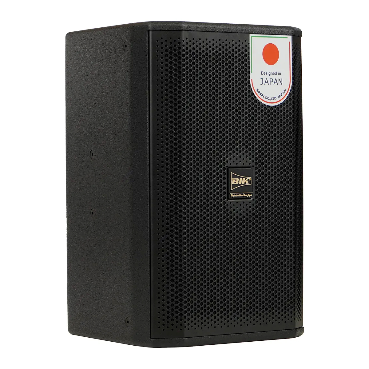 Loa karaoke Nhật BIK CS-620 (Full bass 25cm, 300W RMS) - Hình 4