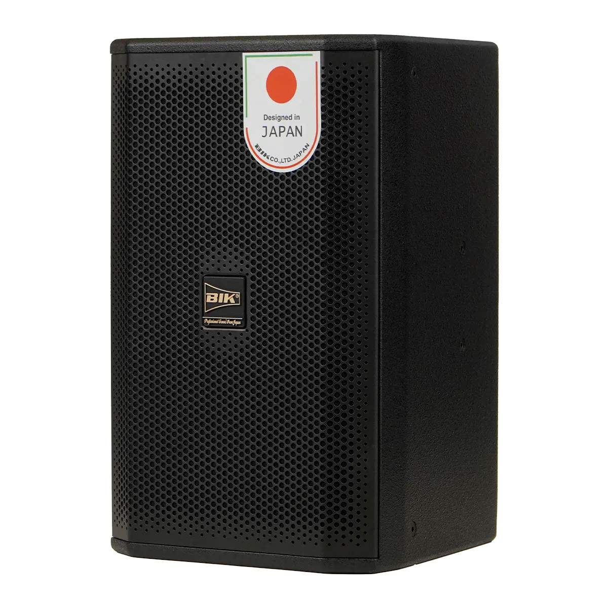 Loa karaoke Nhật BIK CS-620 (Full bass 25cm, 300W RMS) - Hình 3