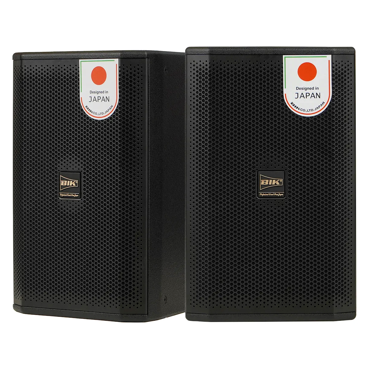 Loa karaoke Nhật BIK CS-620 (Full bass 25cm, 300W RMS) - Hình 1