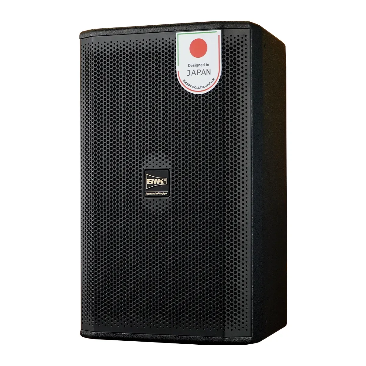 Loa karaoke Nhật BIK CS-625 (Full bass 30cm, 350W RMS) - Hình 5