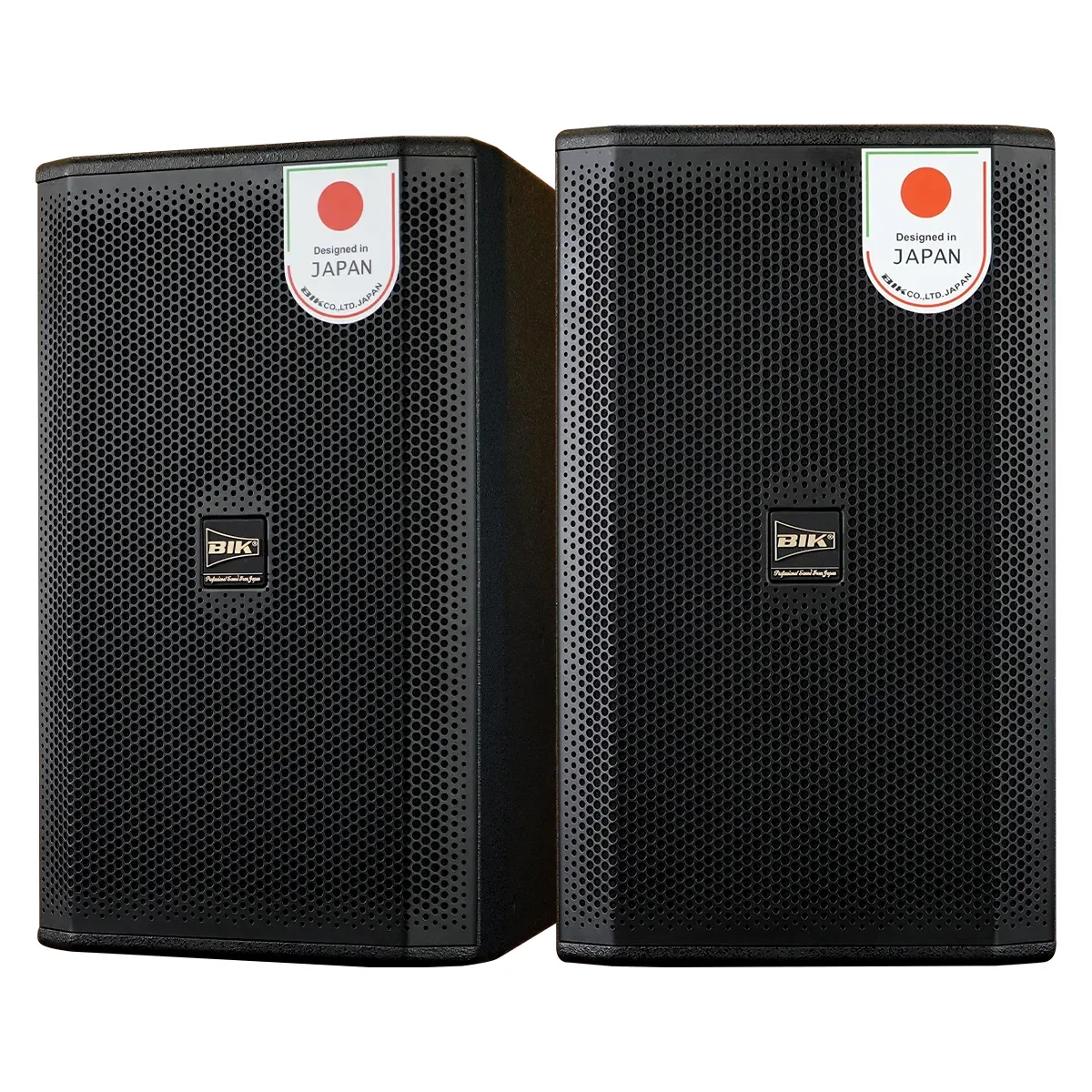 Loa karaoke Nhật BIK CS-625 (Full bass 30cm, 350W RMS) - Hình 2