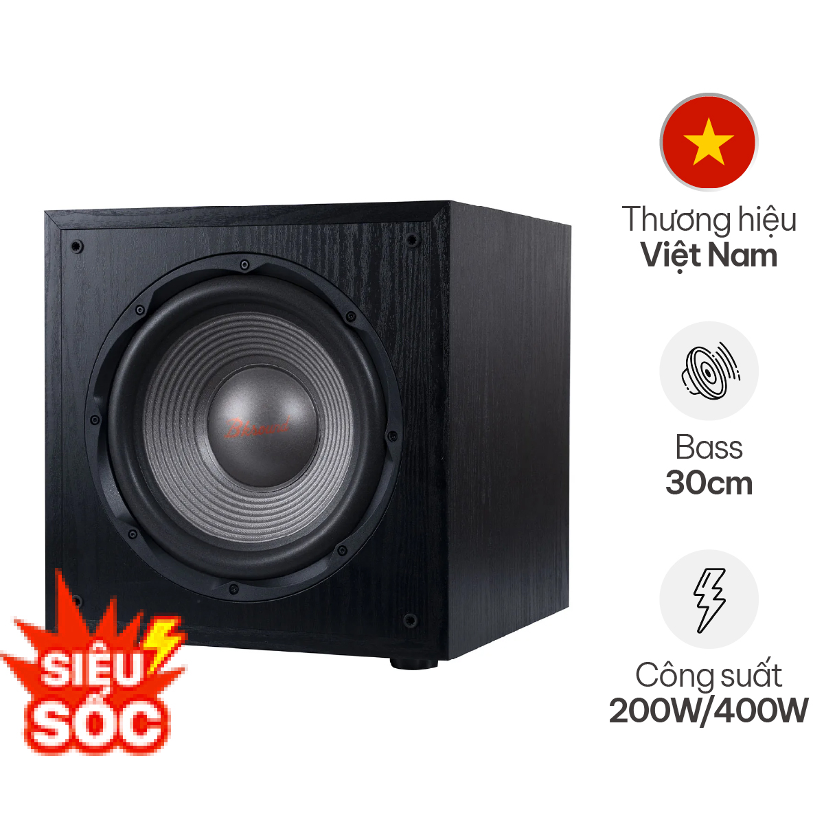 Loa sub điện Bksound SW212 (bass 30cm)