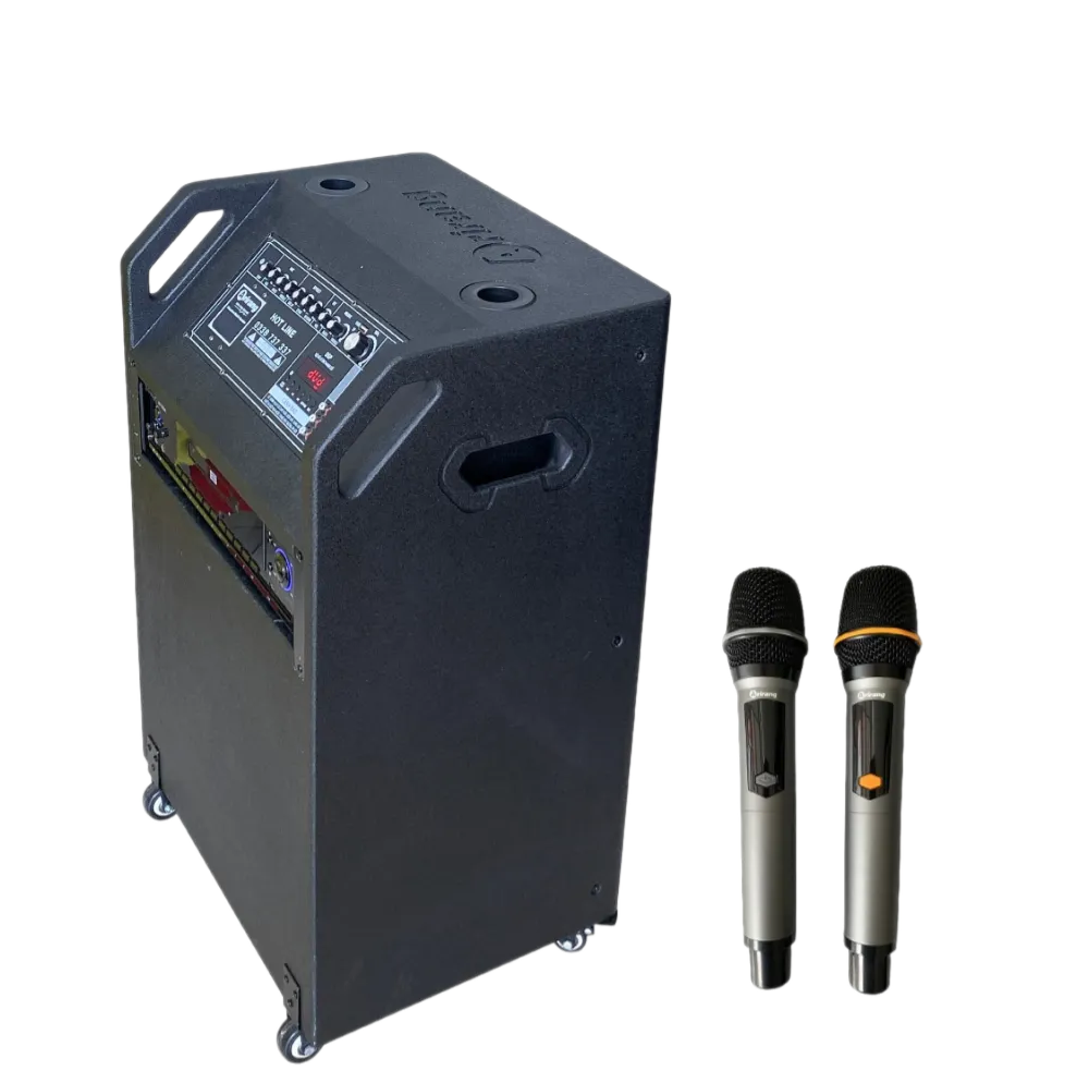 Bộ loa di động Arirang MS40dvd - chuyên dùng cho giảng dạy - Hình 2