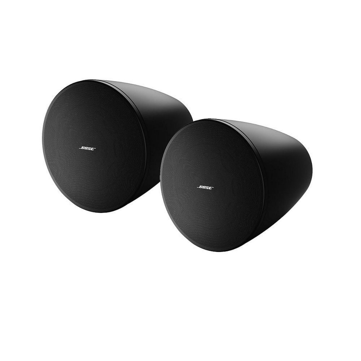 Bose DesignMax DM6PE