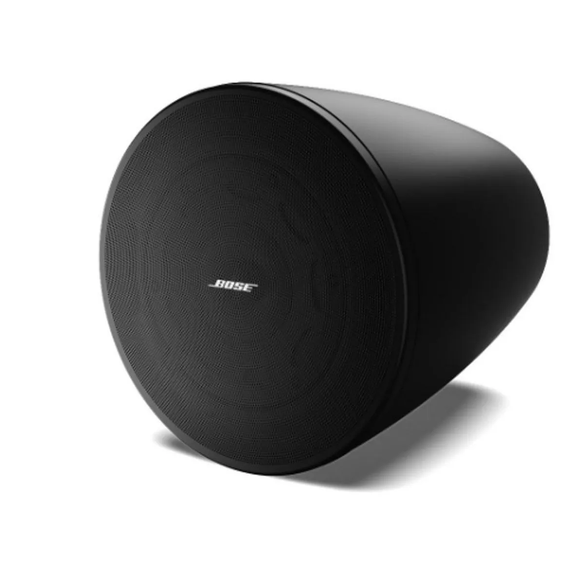 Bose DesignMax DM6PE