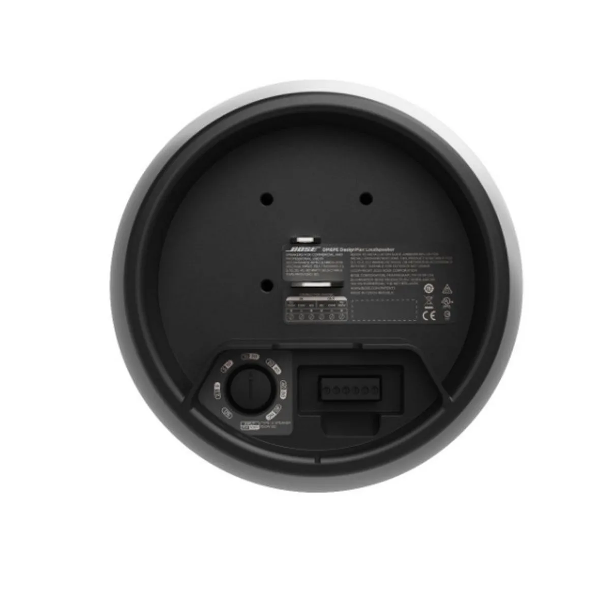 Bose DesignMax DM6PE