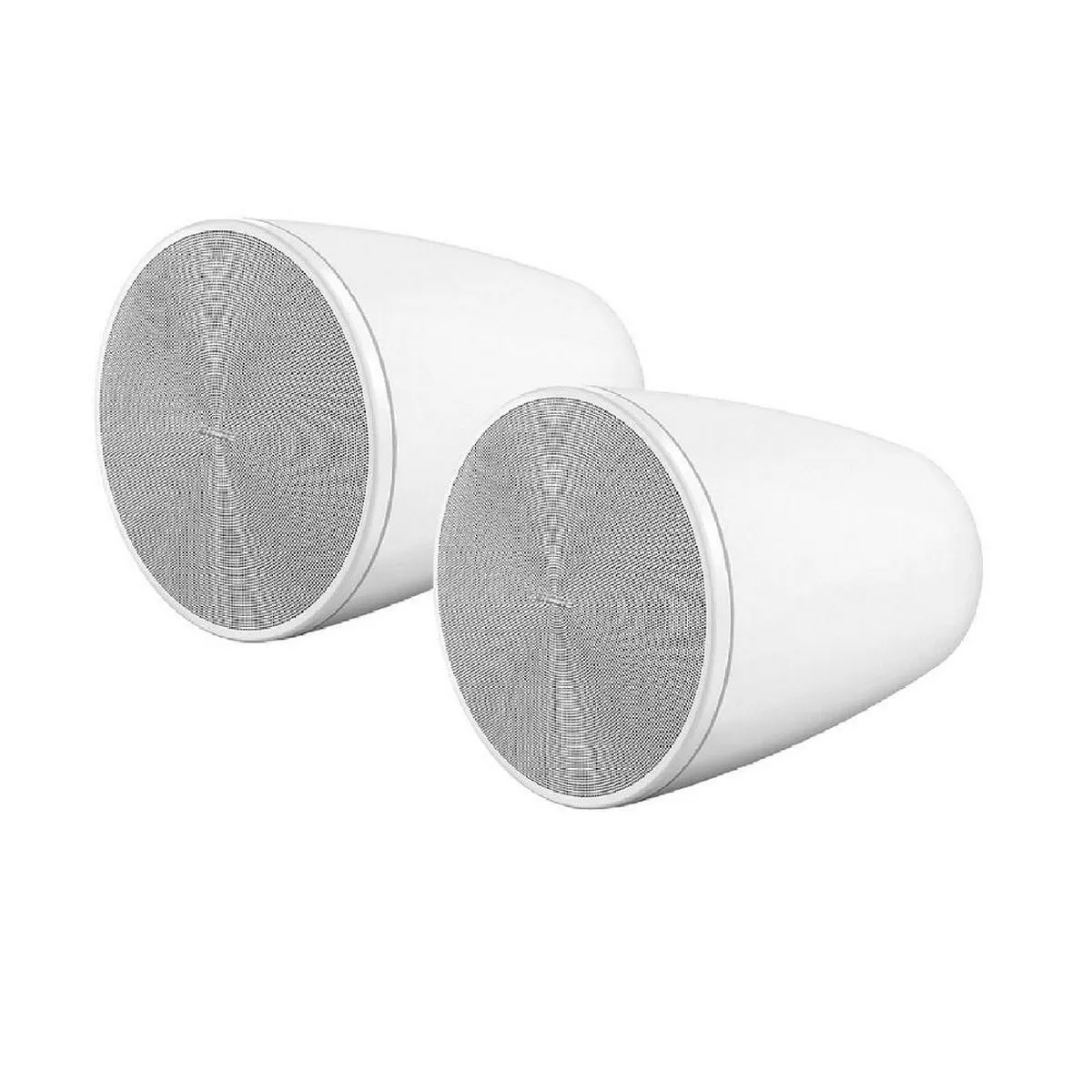 Bose DesignMax DM6PE