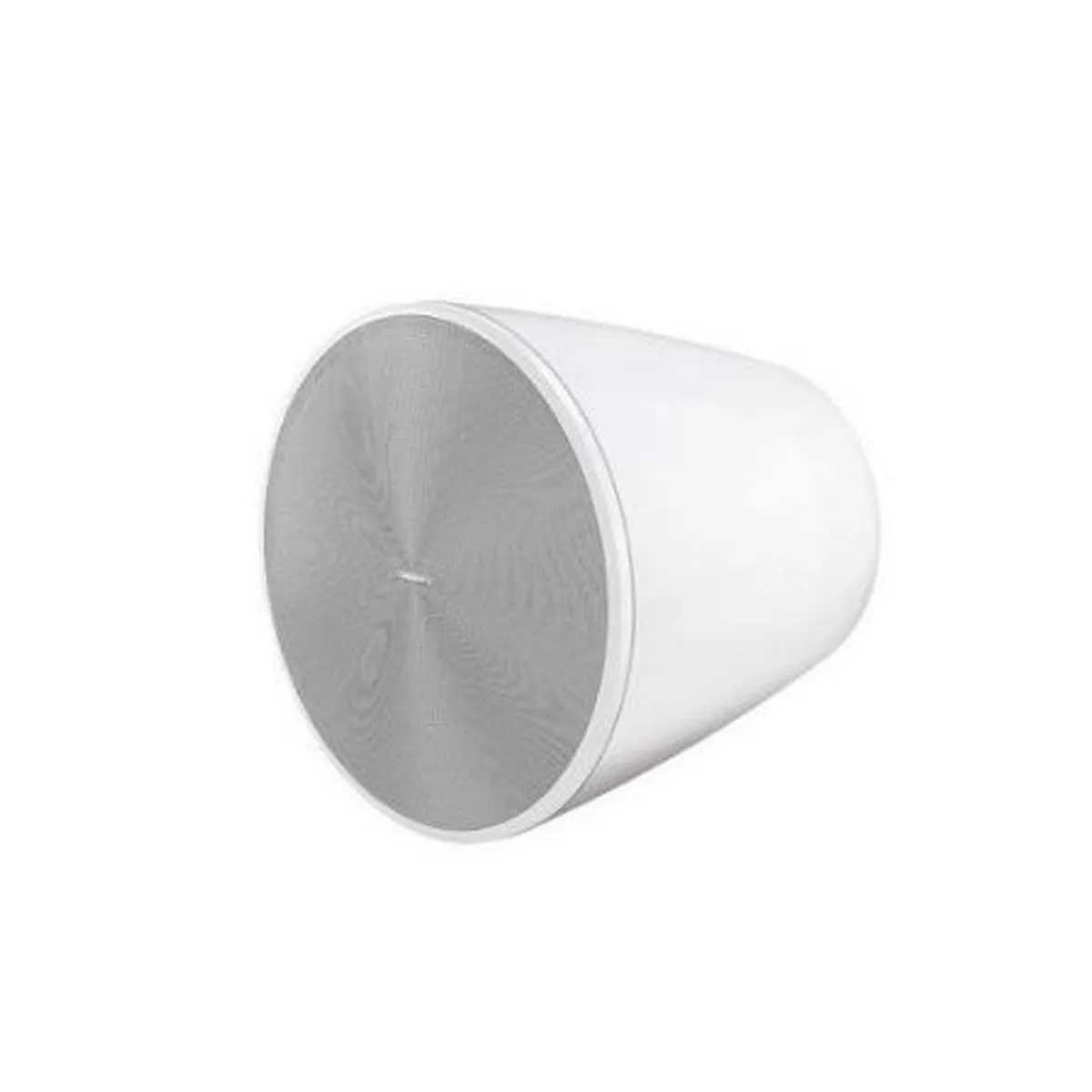 Bose DesignMax DM6PE