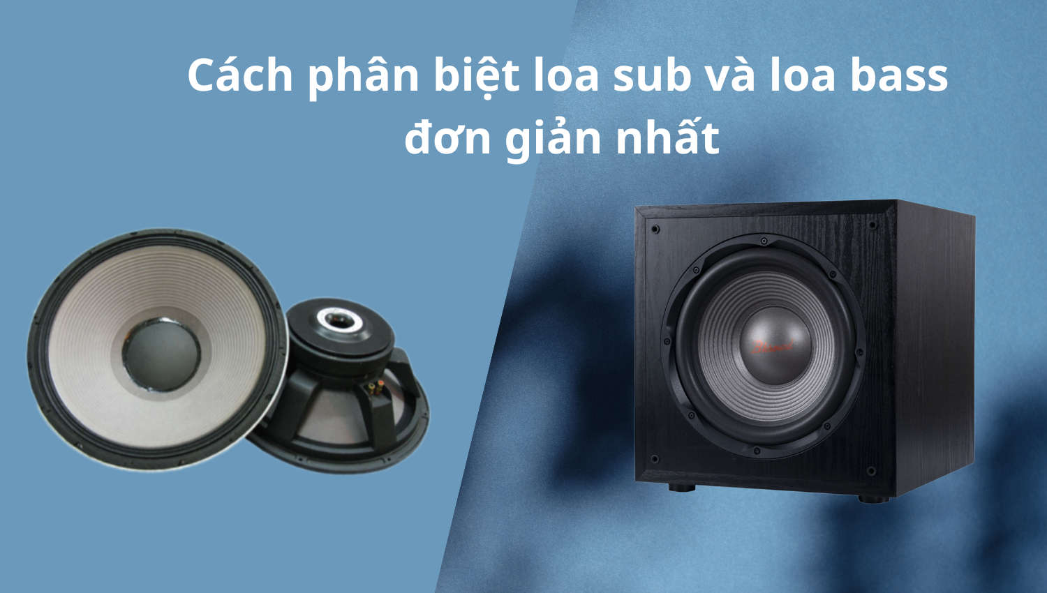 Cách phân biệt loa sub và loa bass đơn giản nhất (3)