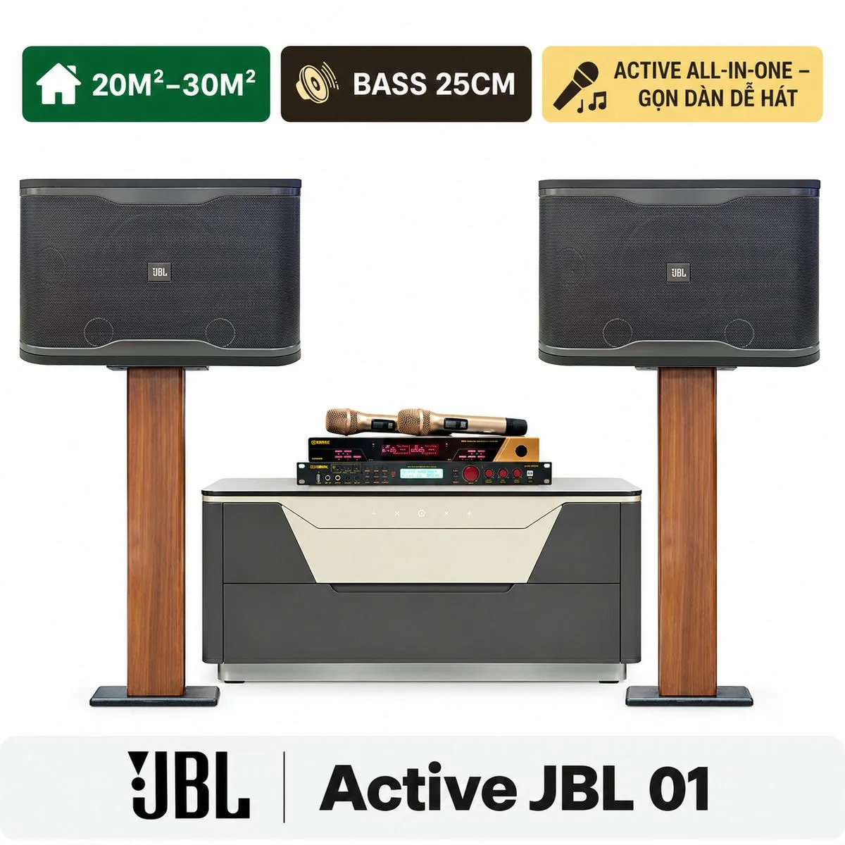 Combo karaoke Active JBL 01
