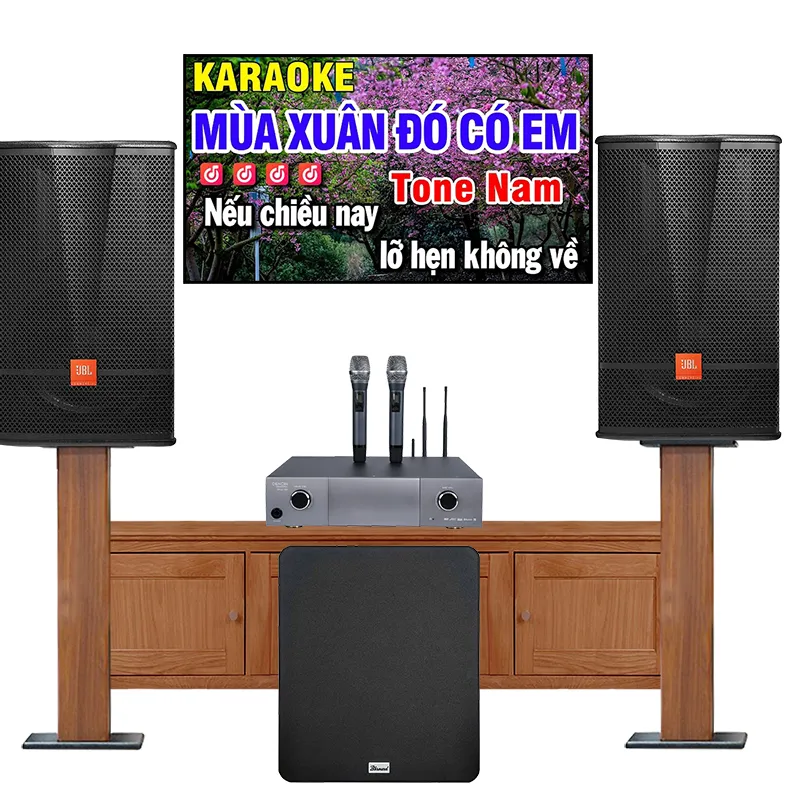 Dàn karaoke JBL cao cấp 06