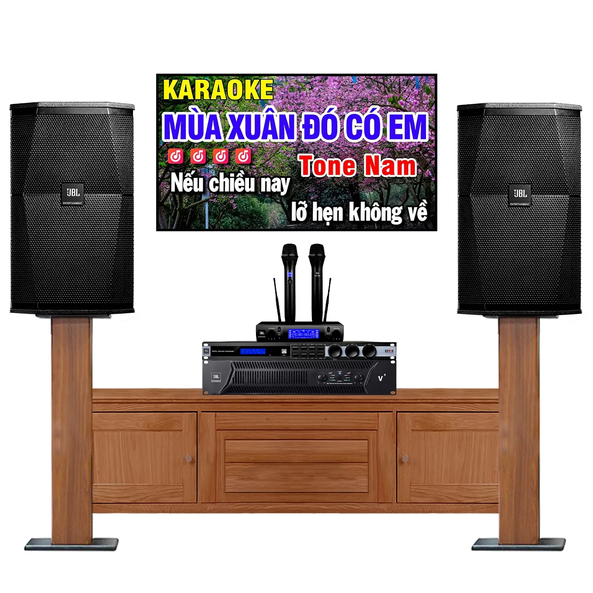 Dàn karaoke cao cấp JBL 42