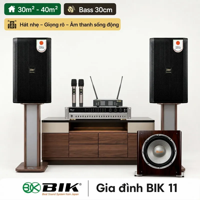 Dàn karaoke gia đình BIK 11