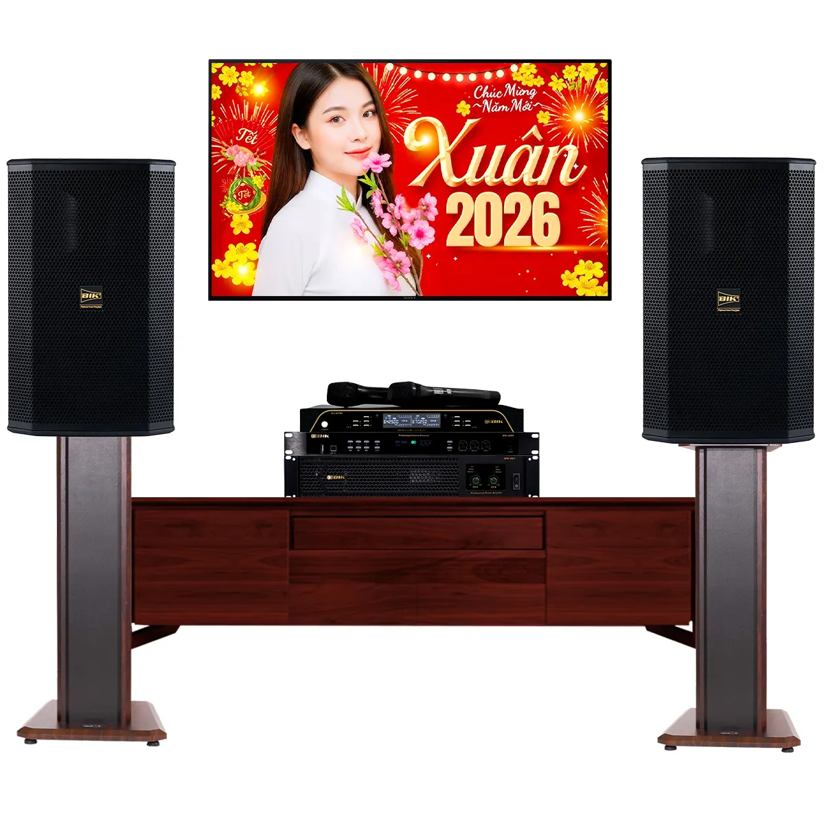 Dàn karaoke gia đình BIK 23 - Hình 1