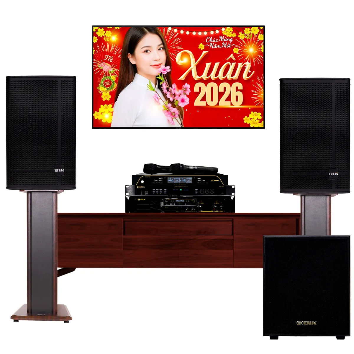 Dàn karaoke gia đình BIK 50 (BIK KSP 5010, BIK VM420A, BIK BPR-5800, BIK BJ-W25AV II, BIK BJ-U200) - Hình 1