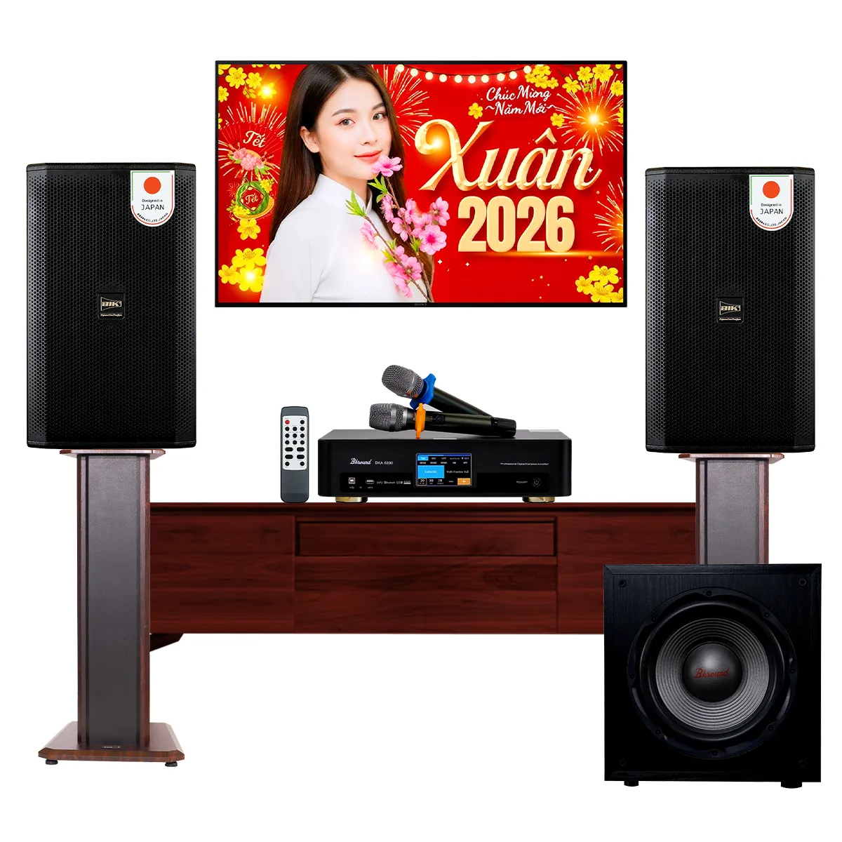 Dàn karaoke gia đình BIK 52 (BIK CS-625, Bksound DKA 6500, Bksound SW212) - Hình 1