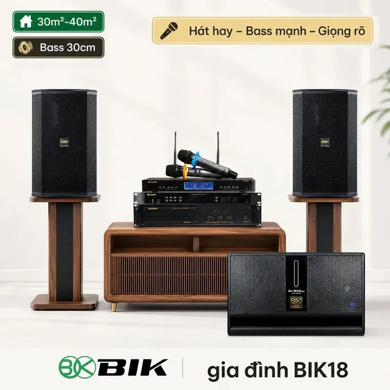 Dàn karaoke gia đình BIK18