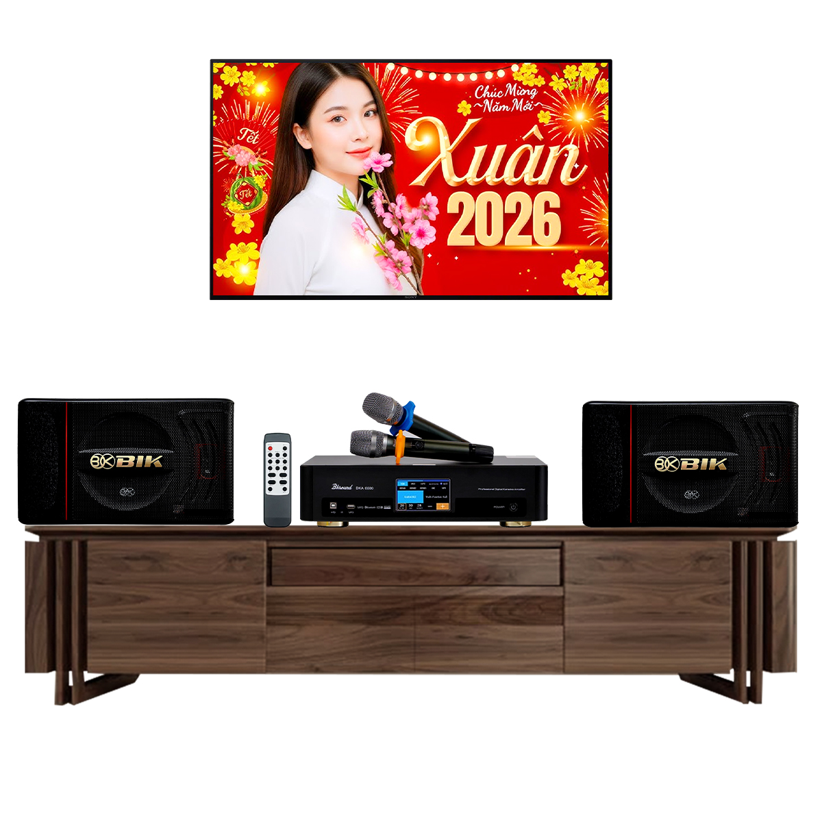 Dàn karaoke gia đình, Chung Cư Giá Rẻ, Karaoke Box 03 (BIK BJ-S886II, Bksound DKA 6500) 