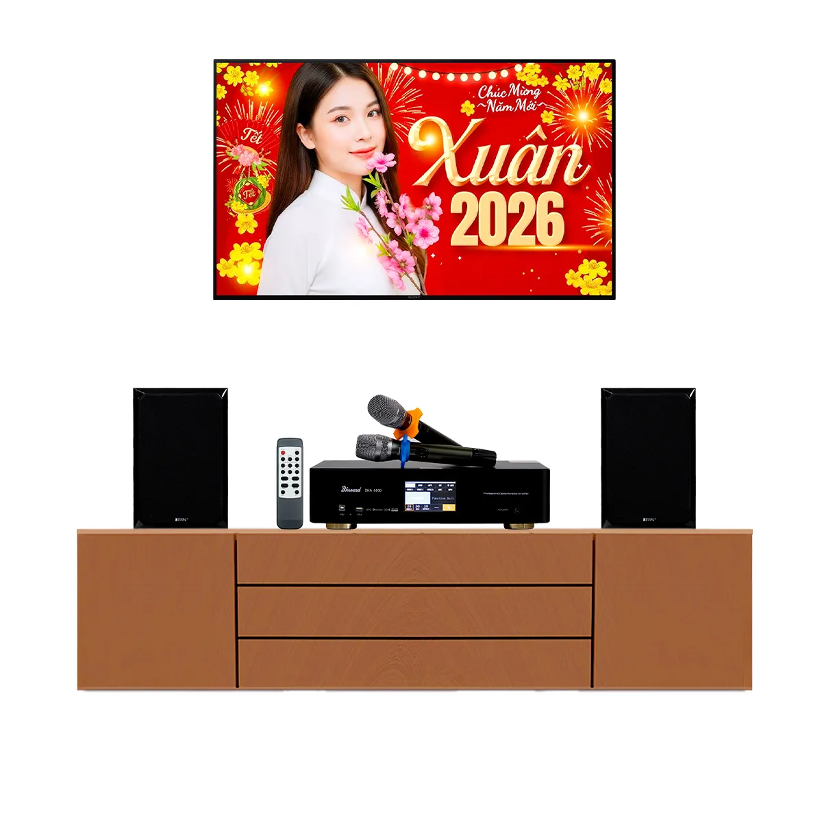 Dàn karaoke gia đình, Chung Cư Giá Rẻ, Karaoke Box 04 (BIK BH-X631, BKSound DKA 5500)