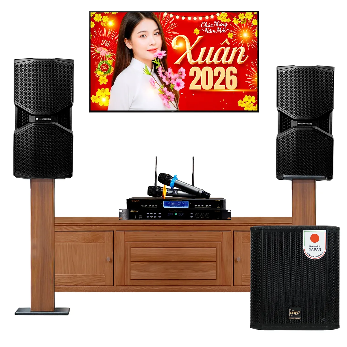 Dàn karaoke gia đình cao cấp dBTechnologies 08 (dBTechnologies Opera Reevo 210, BIK BPR 5800, BIK BBK-W25A,...) - Hình 2