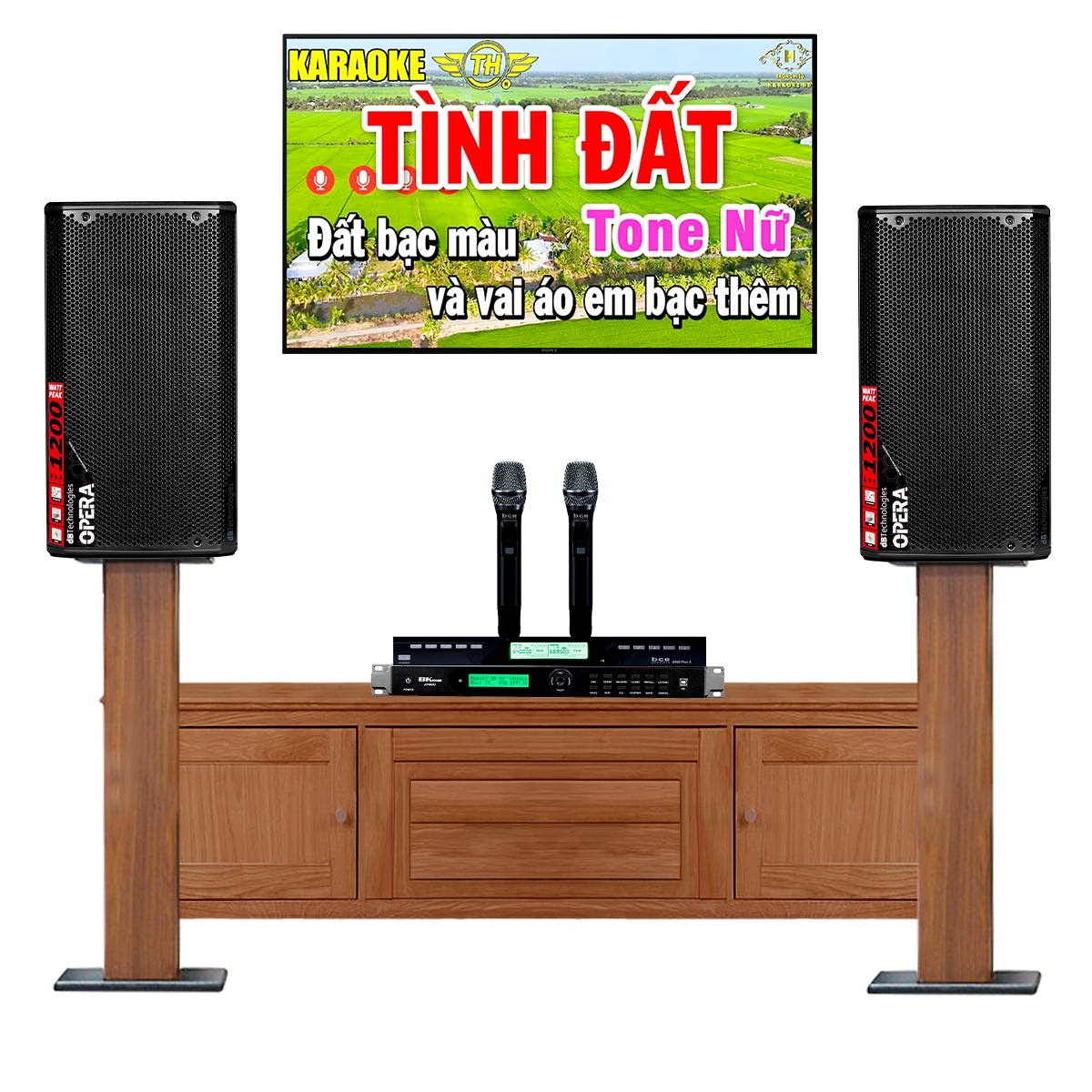 Dàn karaoke gia đình dBTechnologies 11