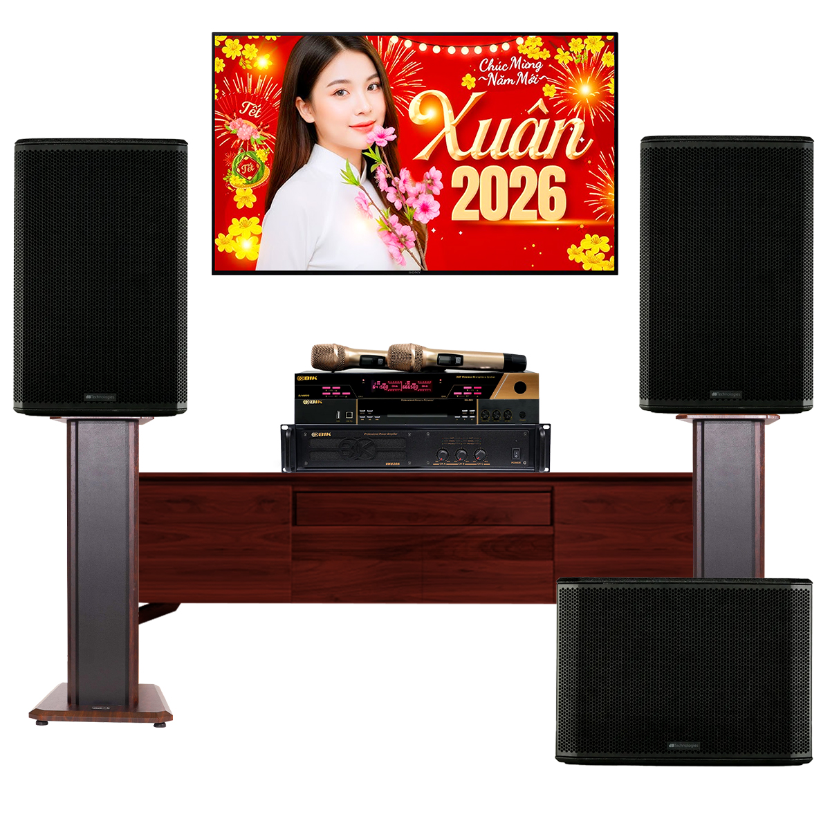 Dàn karaoke gia đình dBTechnologies 18 (dBTechnologies LVXP15, LVX PSW15, BIK VM830A, BIK VK-R51, BJ-U600) 