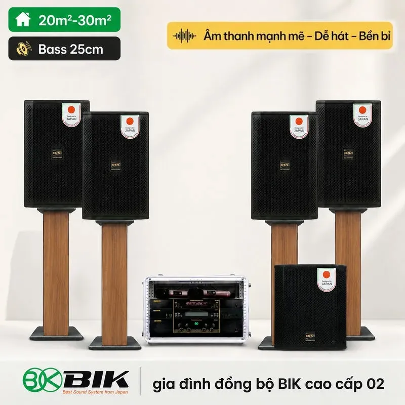 Dàn karaoke gia đình đồng bộ BIK cao cấp 02