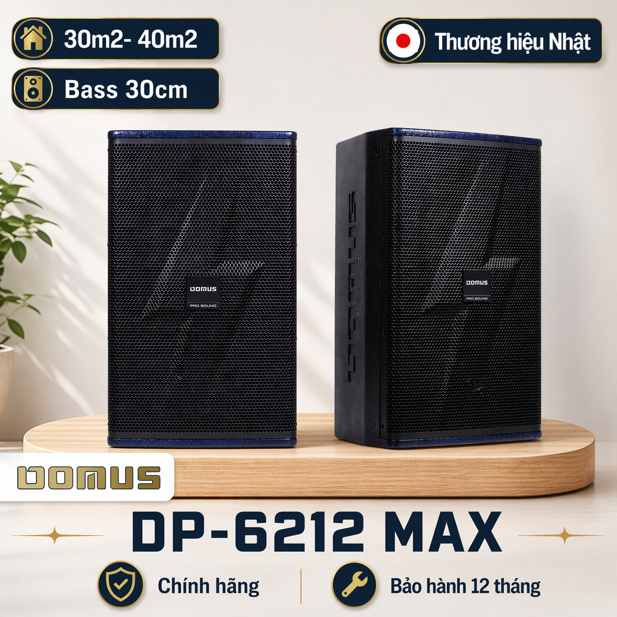 Loa Karaoke Domus DP-6212 MAX (Full Bass 30cm)