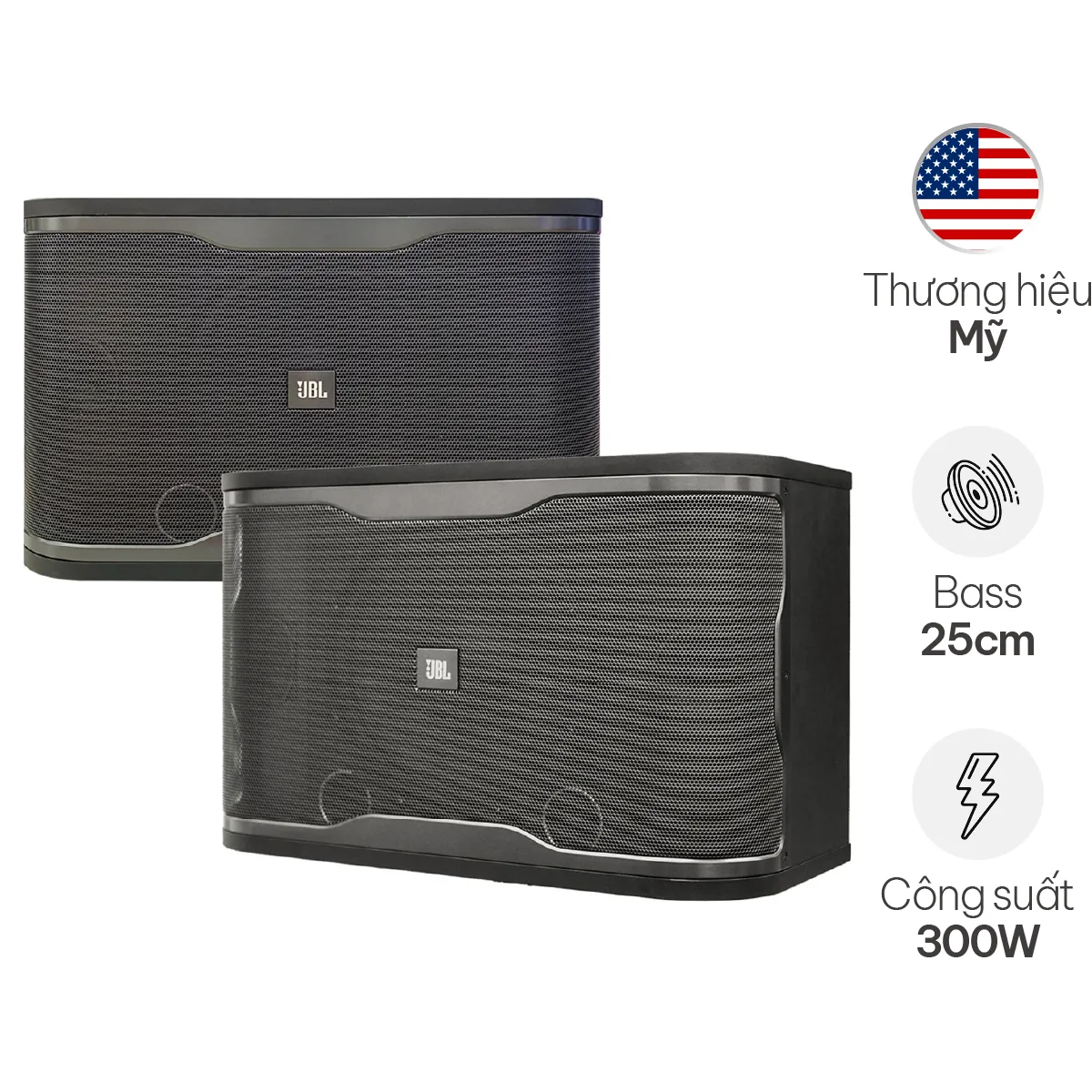 Loa Karaoke JBL RM210 (Active )