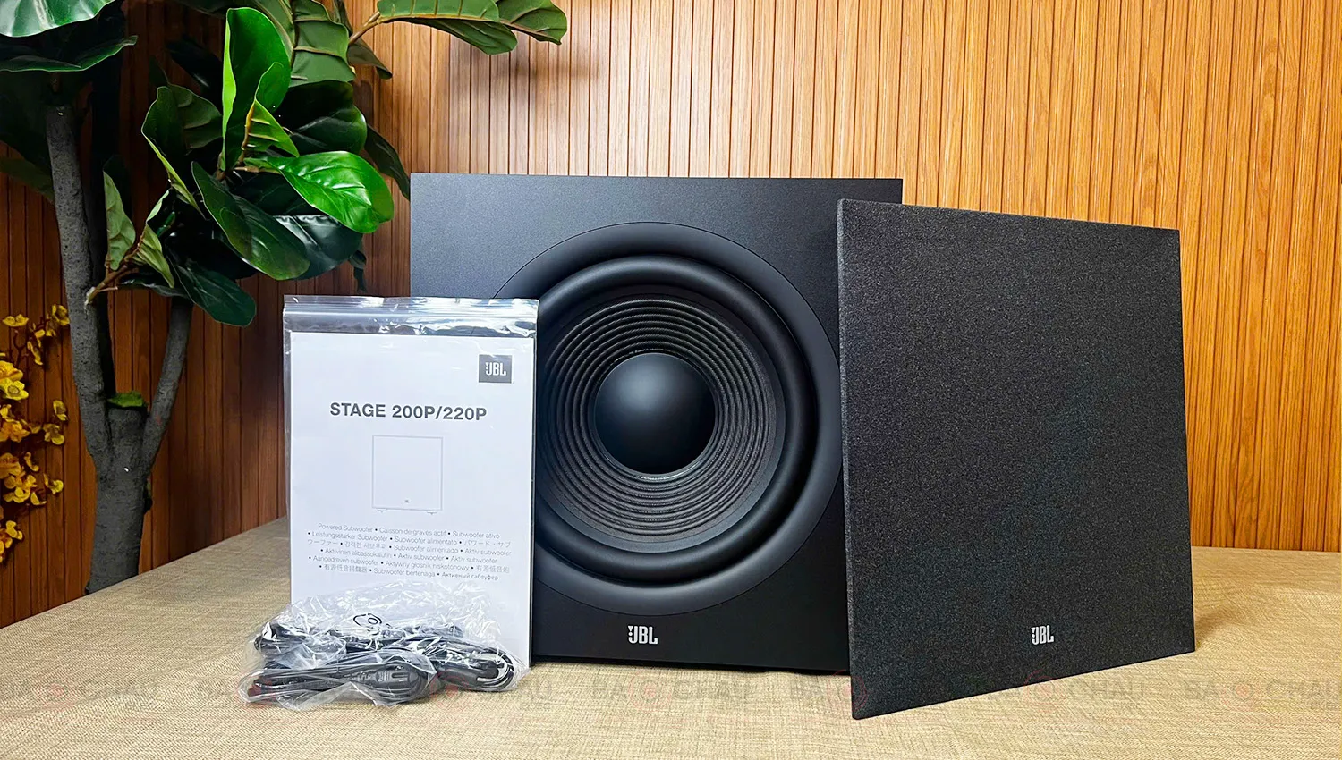 JBL Stage 220P