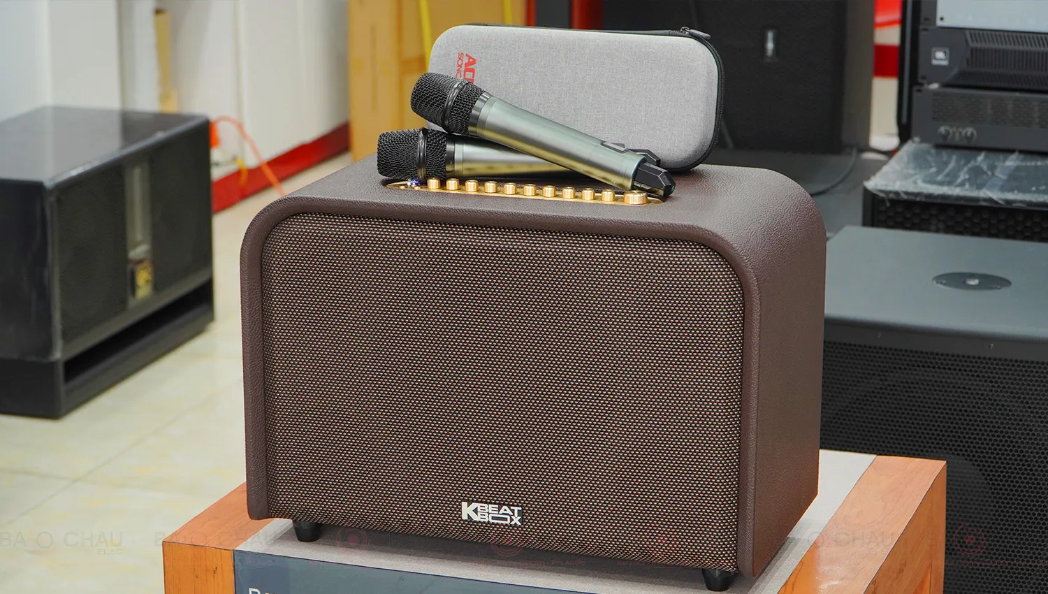 Loa Acnos Acoustic 3