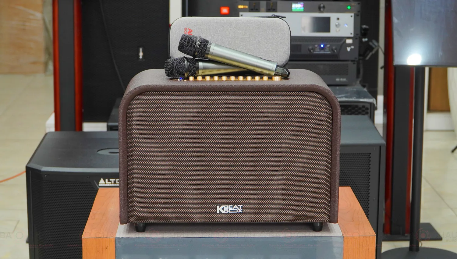 Loa Acnos Acoustic 3