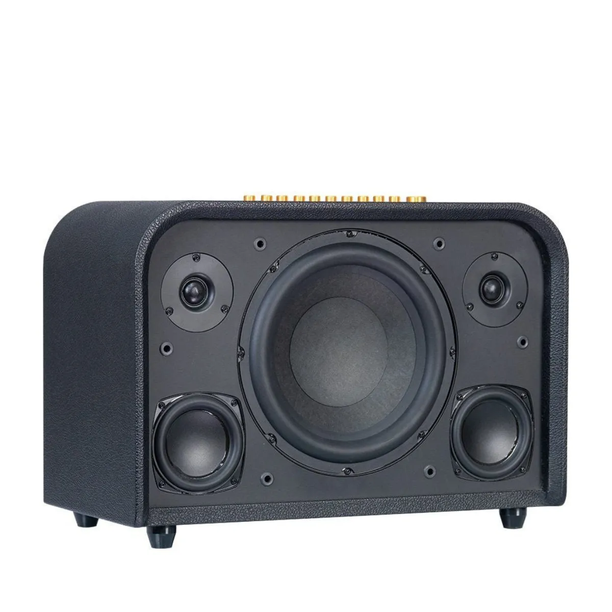 Loa Acnos Acoustic 3 V26