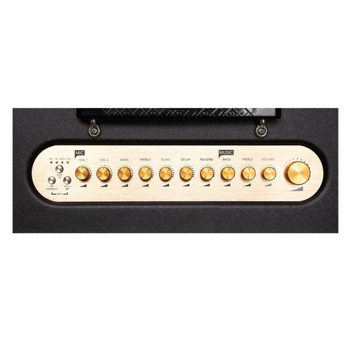 Loa Acnos CS3600 Pro