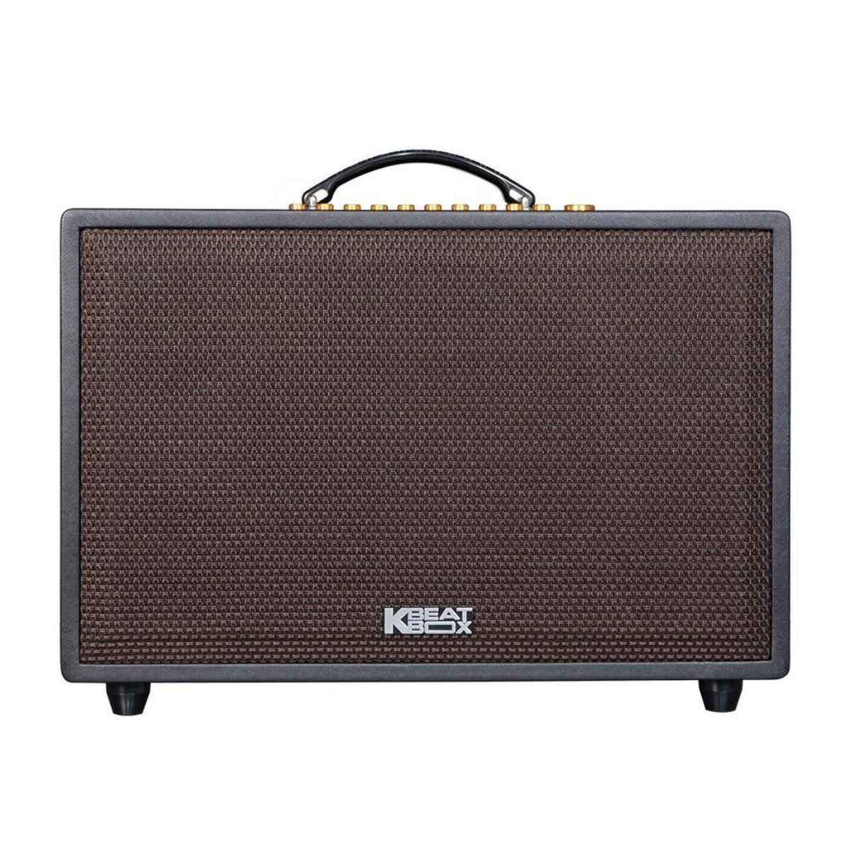 Loa Acnos CS3600 Pro