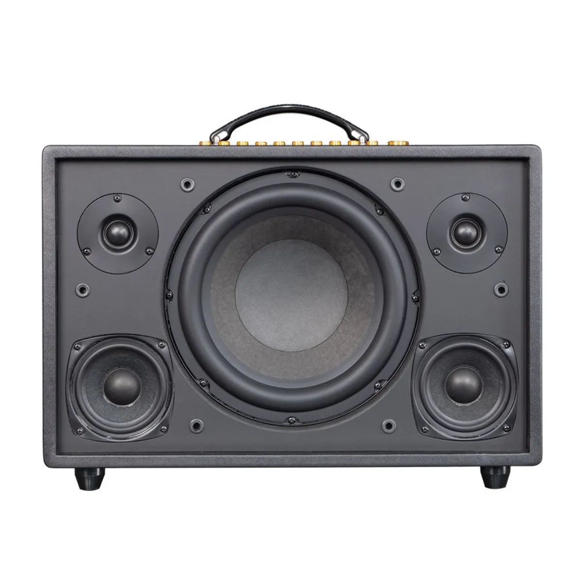 Loa Acnos CS3600 Pro