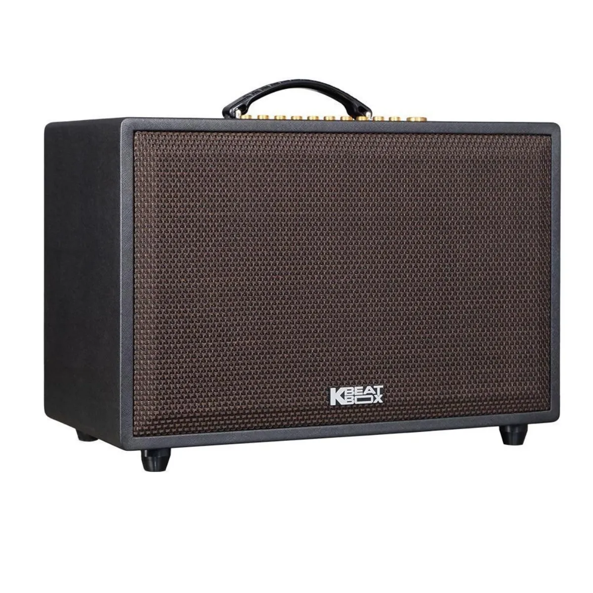 Loa Acnos CS3600 Pro