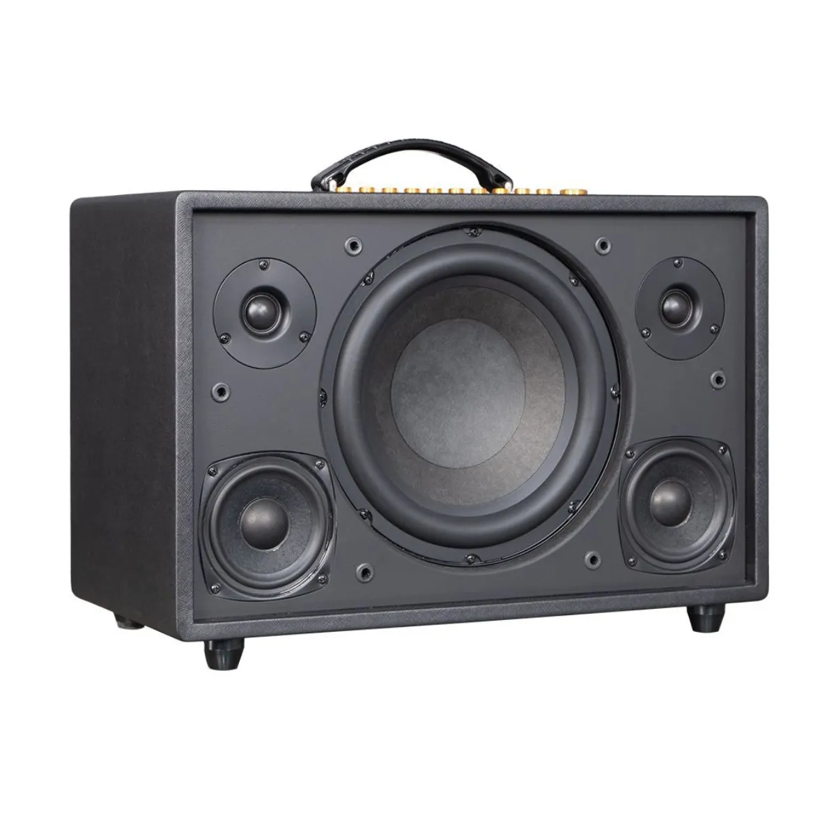 Loa Acnos CS3600 Pro