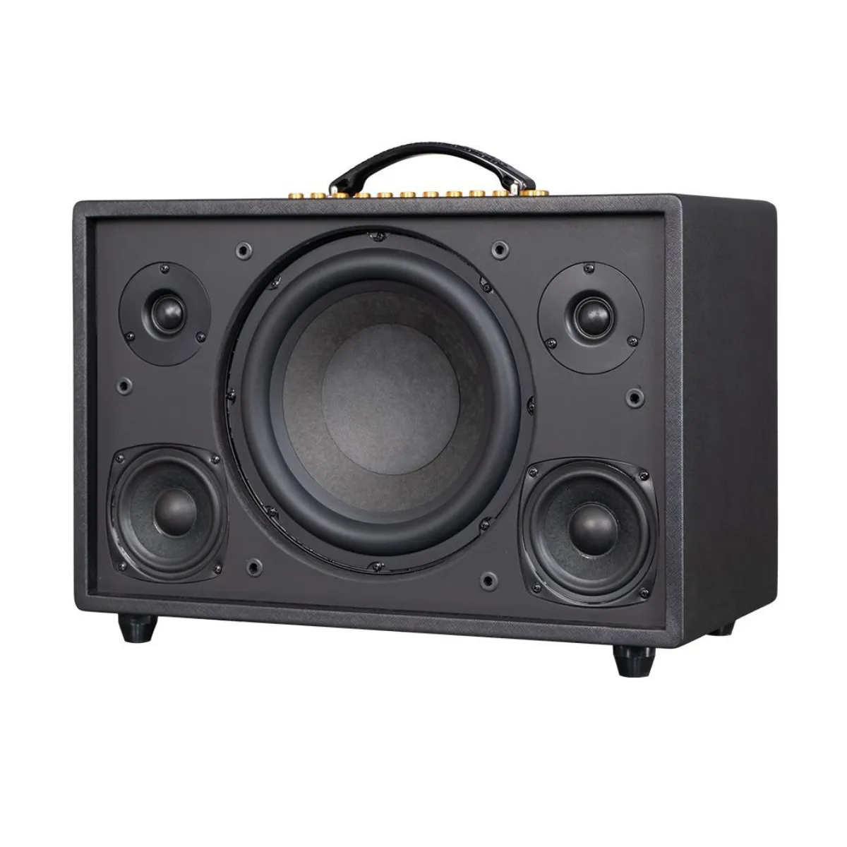 Loa Acnos CS3600 Pro