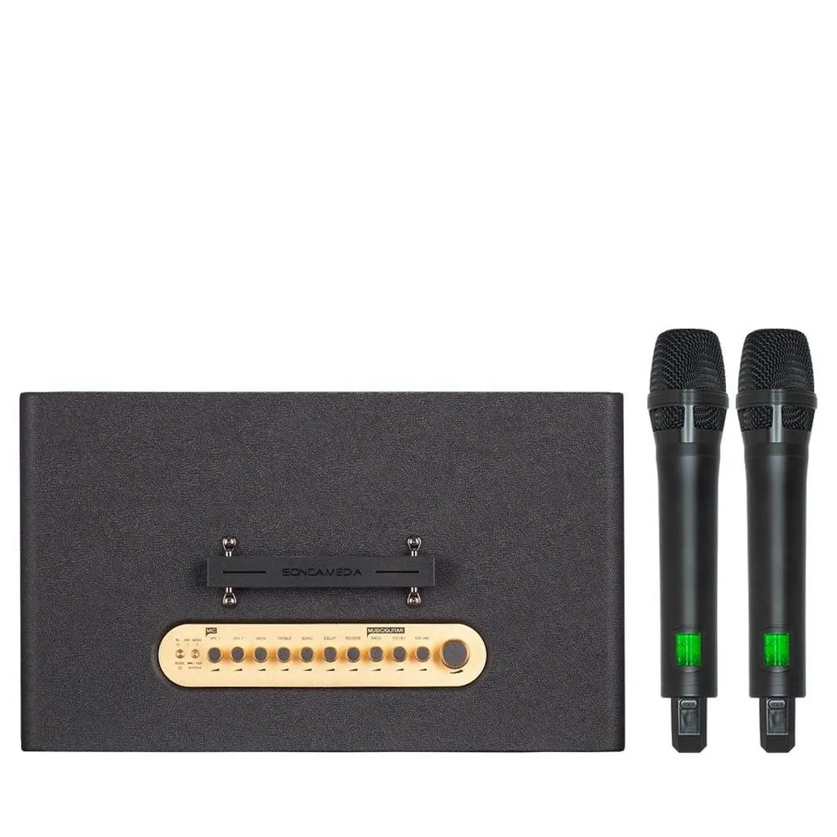 Loa Acnos FLAC 39 (500W, Bluetooth 5.0, Kèm 2 tay micro) - Hình 1