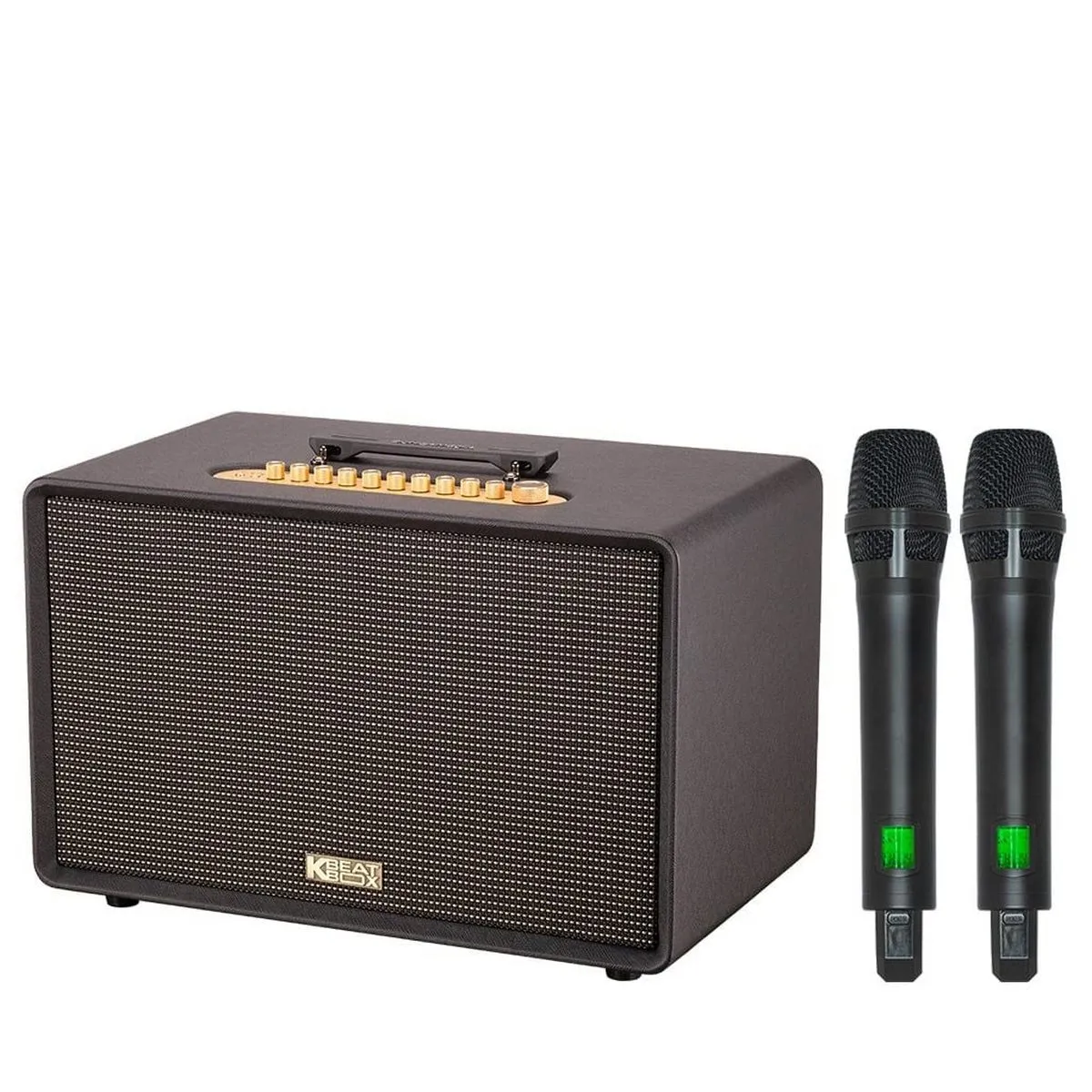 Loa Acnos FLAC 39 (500W, Bluetooth 5.0, Kèm 2 tay micro) - Hình 1