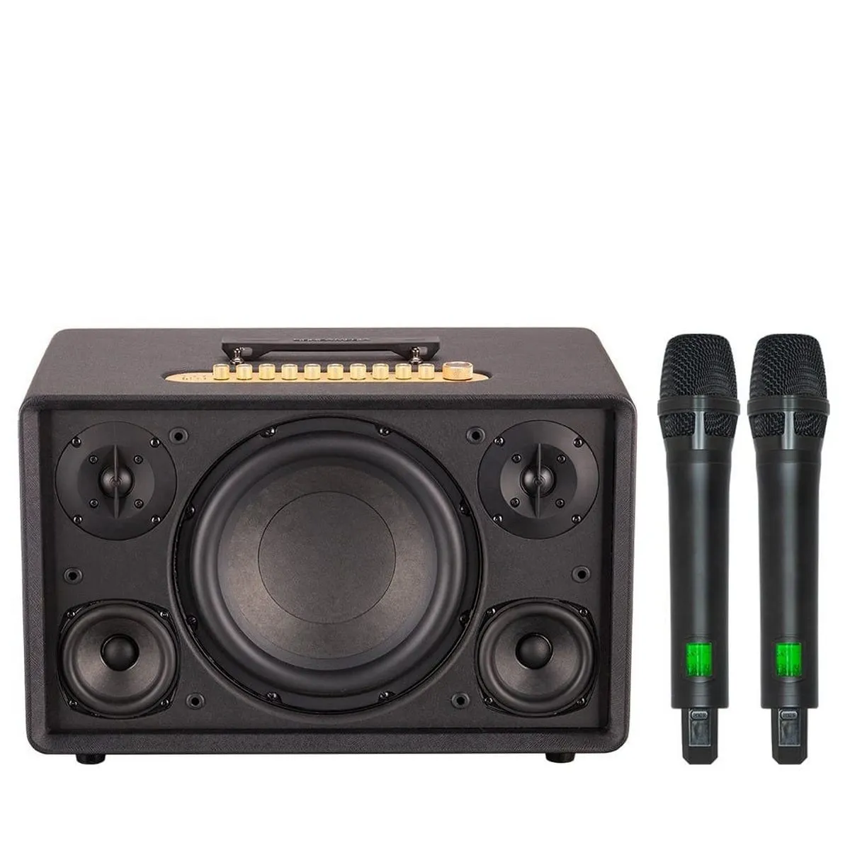 Loa Acnos FLAC 39 (500W, Bluetooth 5.0, Kèm 2 tay micro) - Hình 1