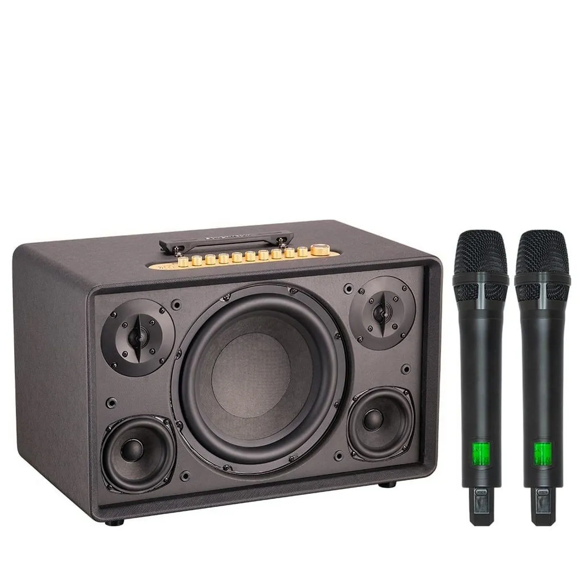 Loa Acnos FLAC 39 (500W, Bluetooth 5.0, Kèm 2 tay micro) - Hình 1