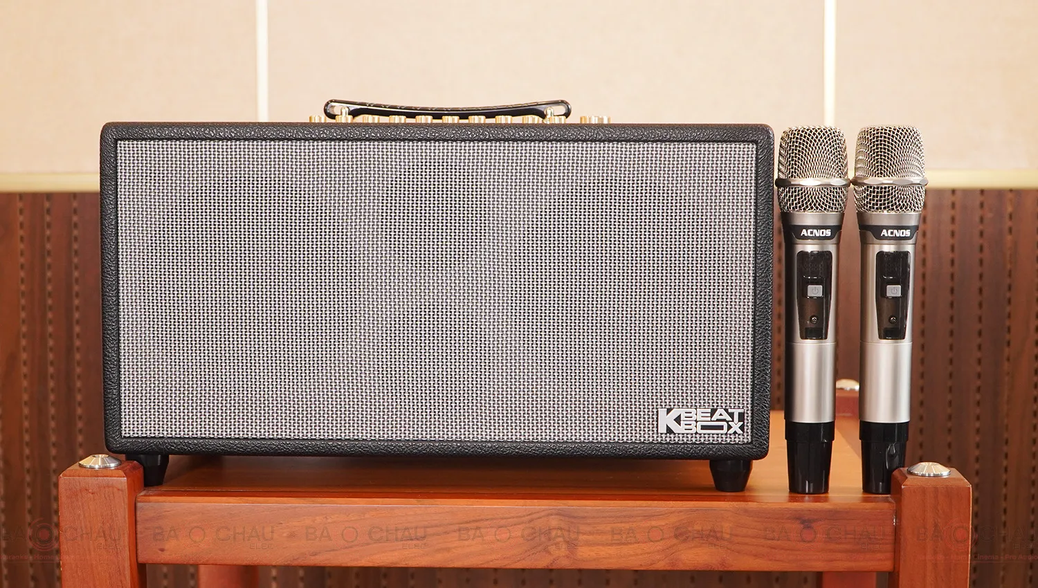 Loa xách tay Acnos Hi450