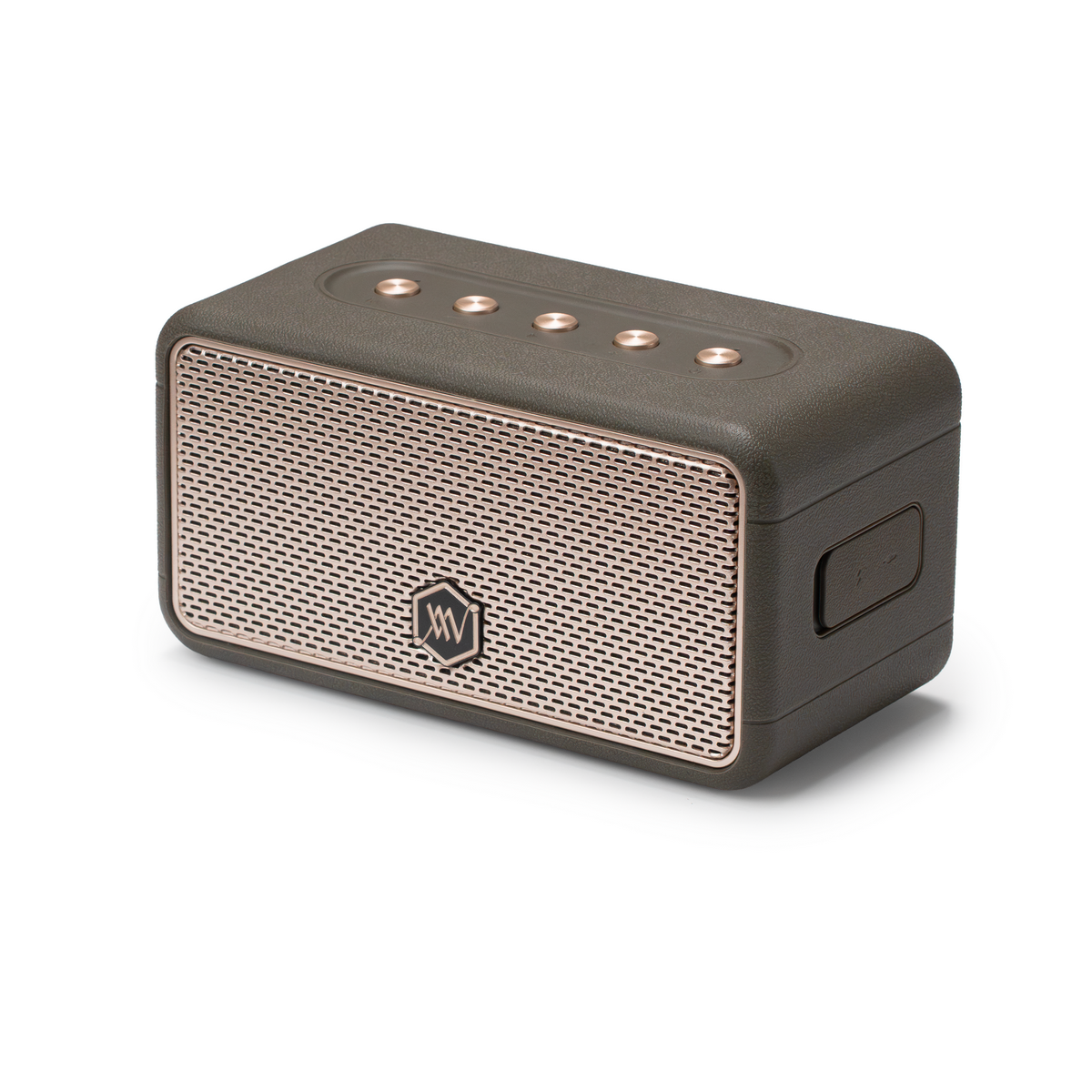 Loa Di Động Alpha Works W39 (New 2025, 35W RMS, Bluetooth 5.3, Pin 12h) - Hình 5