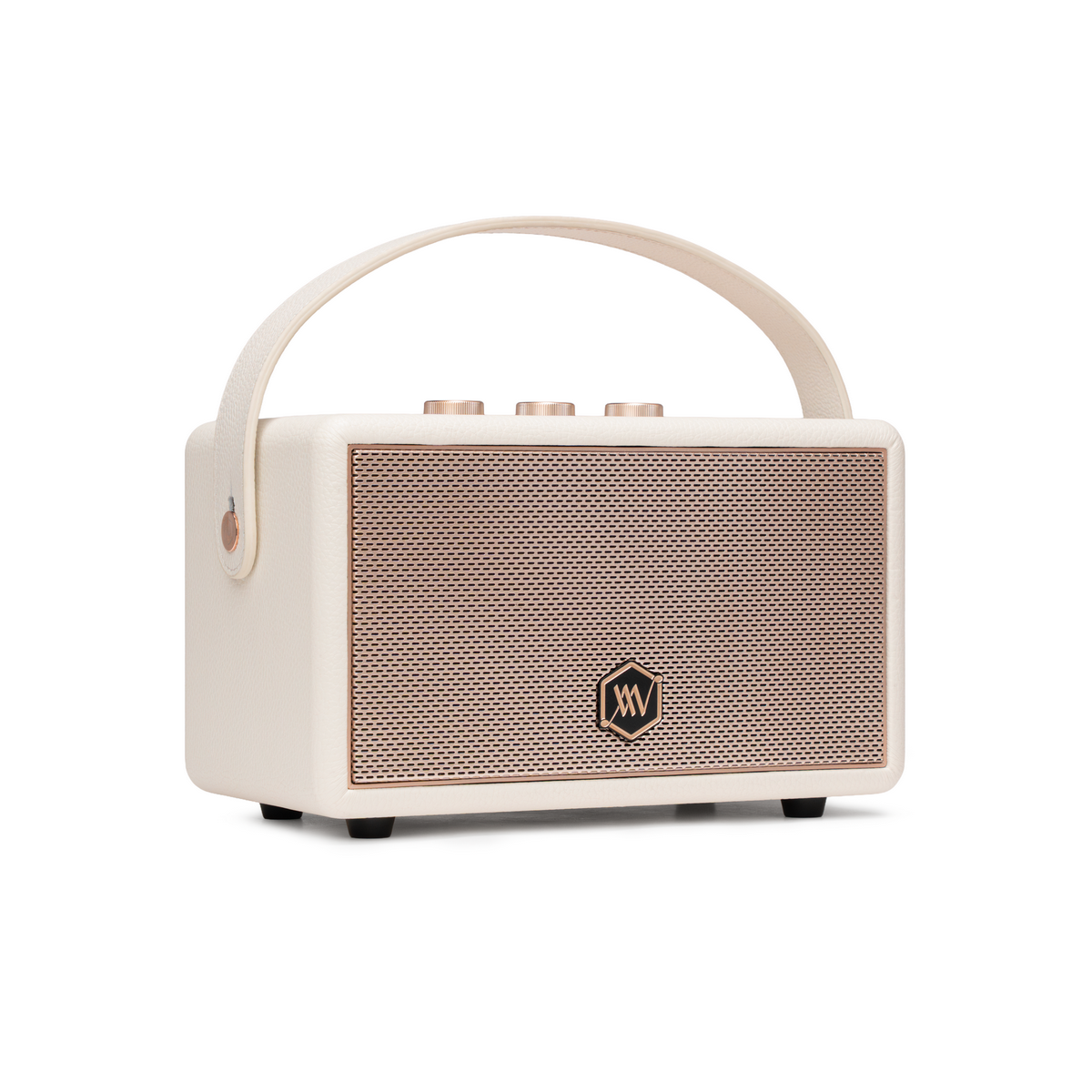 Loa Alpha Works W89 (New 2025, 120W, Pin 28h, Bluetooth 5.3) - Hình 4