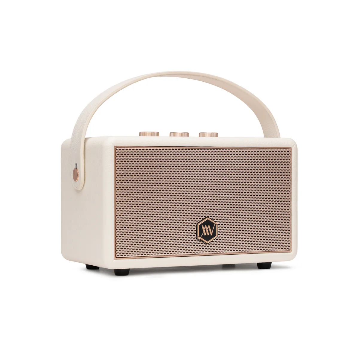 Loa Alpha Works W89 (120W, Pin 28h, Bluetooth 5.3) - Hình 4
